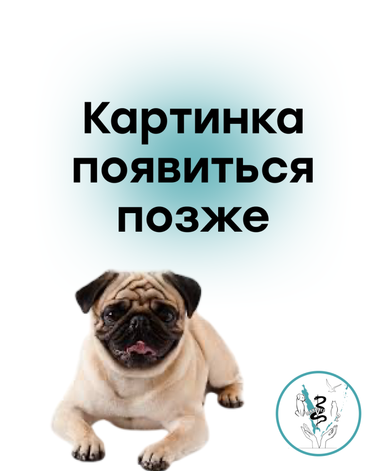 Миска для кошек и собак из нерж стали "Вкусно" 240 мл
